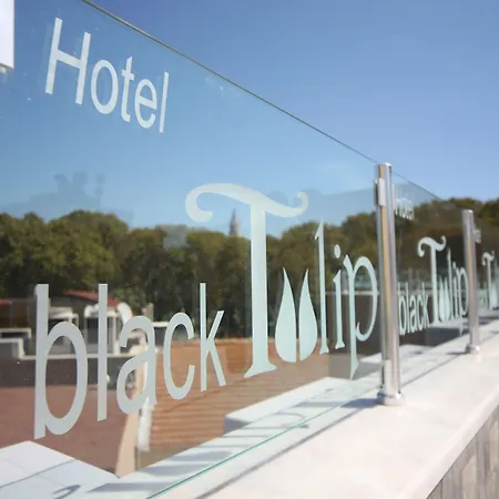 Hotel Black Tulip 4*