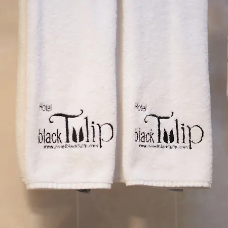 Hotel Black Tulip Hotell 4*