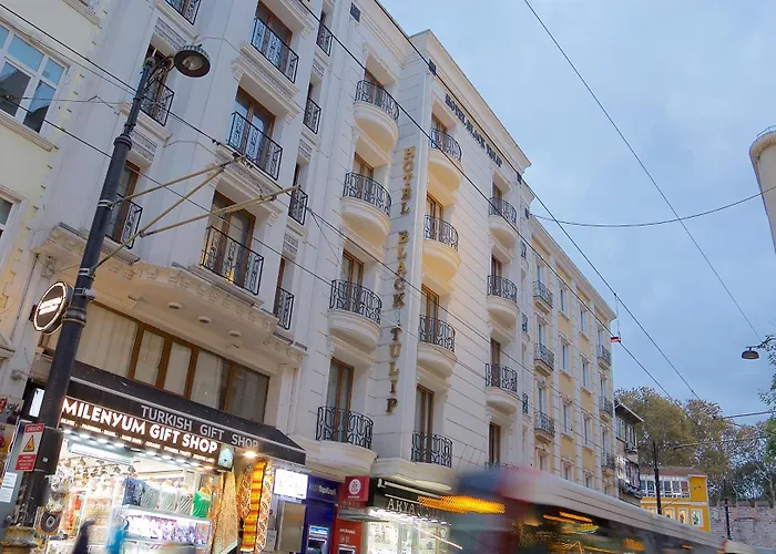 Black Tulip Istanbul