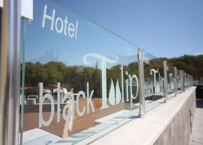 Hotell Black Tulip 4*