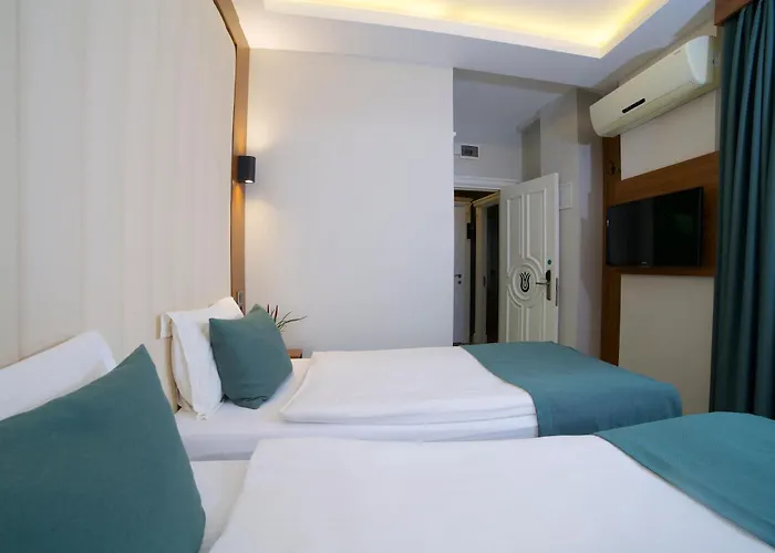 Hotel Black Tulip Stambuł