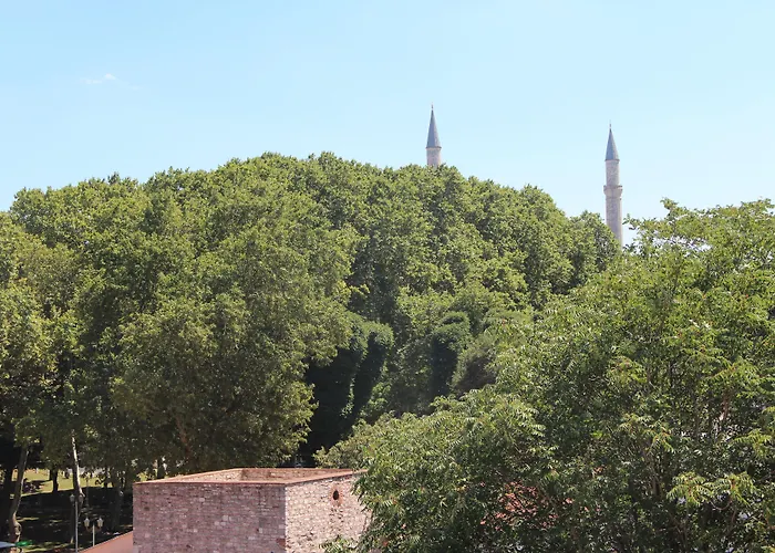 ブラック チューリップ 4*